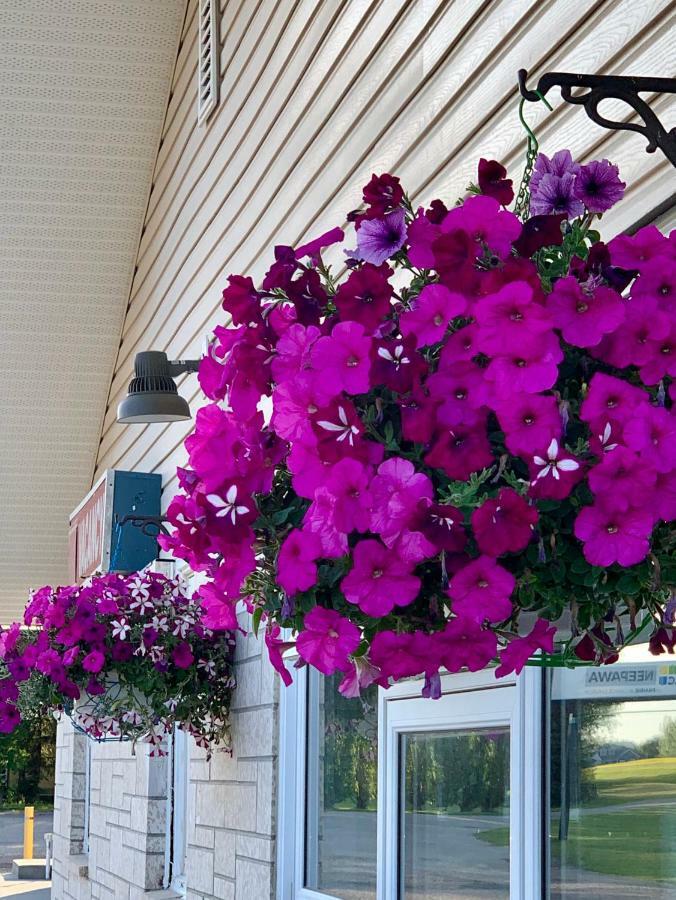 Westway Inn Motel Neepawa Luaran gambar